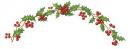 Holly　Border  S2706