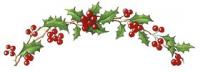 Holly　Border  S2706