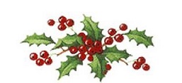 Holly　Bits  S2706