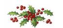 Holly　Bits  S2706
