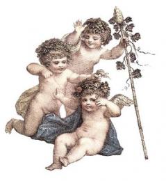 Cherubs　F  S2815