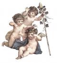 Cherubs　F  S2815