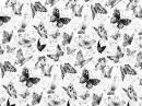 Black butterfly