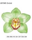 Orchid   green
