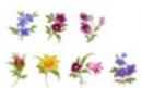 Petite Fleur  S3597