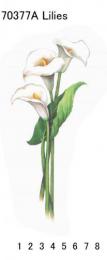 Lilies　　70037A