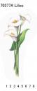Lilies　　70037A