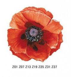 Poppy
