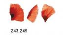 Poppy　花びら3種　A7345