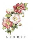 Henley　　3245