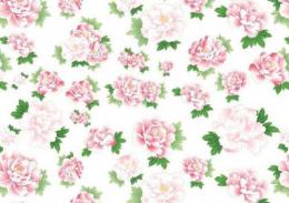 Peony Small    6026