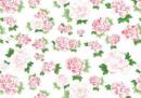 Peony Small    6026
