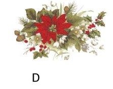 Poinsettia　