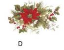 Poinsettia　