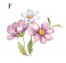 Peony　　　小花6こ