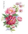 Peony　A～E