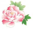 Peony Large 単品商品　A　6025