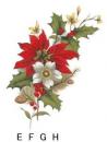 Poinsettia　  E～H