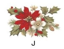Poinsettia J 2こ