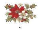 Poinsettia J 2こ