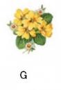 Primrose　G　4こ