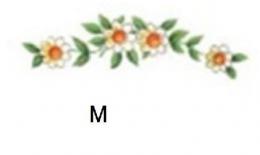 Primrose　　M　4こ