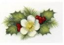 Christmas Flowers　PD168　D/E
