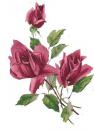 Brooklyn Rose A/B