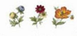 Traditional　Flowers　小花　3柄