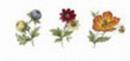 Traditional　Flowers　小花　3柄