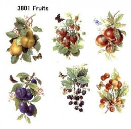 Fruits　6柄セット　3801