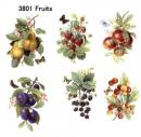 Fruits　6柄セット　3801