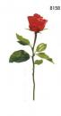 Red Rose　アウトレット