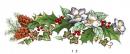 Holly　2.Holly