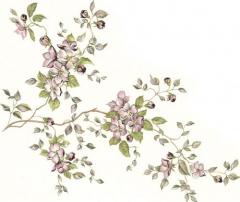 JM　Printemps