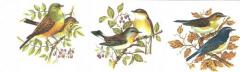 Pajaros   3種セット