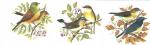 Pajaros   3種セット