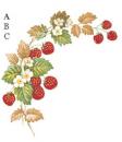 STRAWBERRIES  1575