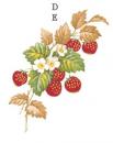 STRAWBERRIES  1575