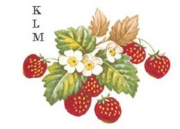 STRAWBERRIES  1575