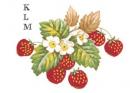 STRAWBERRIES  1575