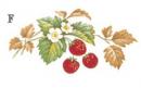STRAWBERRIES 1575