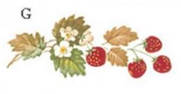 STRAWBERRIES  1575