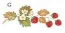 STRAWBERRIES  1575