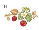 STRAWBERRIES  1575