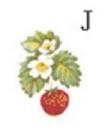 STRAWBERRIES  1575