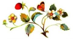 Strawberries　&　Butterflies B/C