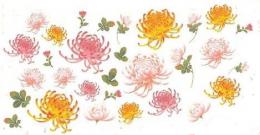 菊の花　　 L