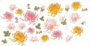 菊の花　　 L