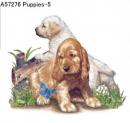 Puppies　Mot5